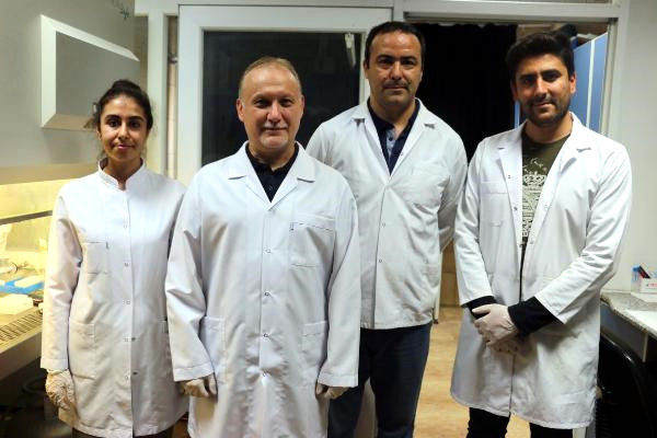 Türkiye’de Yetişen 4 Bitki Türü ‘Sıtma’ Hastalığına Deva Olacak