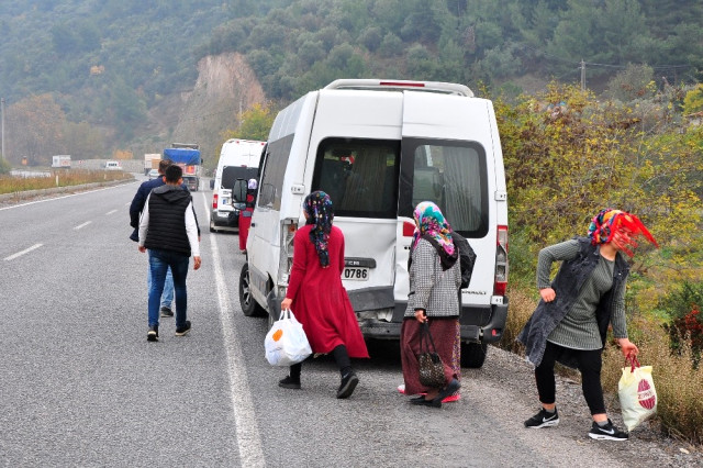 Yola Çıkan Çoban Köpeği, Faciaya Neden Oluyordu